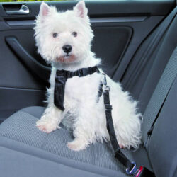 Trixie Trixie Car Harness - biztonsági öv kutyák részére - XS - (20-50cm/15mm)