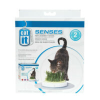 Hagen - Hagen Catit Design Senses Grass Garden Kit - újratölthető macskafű tartó (2 csomag)