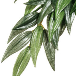 Hagen Exo-Terra Silk Plant Ruscus Medium - Terráriumi selyem műnövény dekoráció (Csodabogyó) cca.42cm