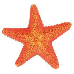 Trixie Akciós trixie 8866 akvárium dísz tengeri csillag 9cm