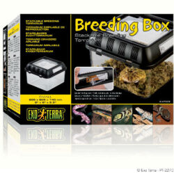 Hagen Exo-Terra Breeding Box Small - Műanyag tenyésztő doboz (S)