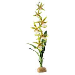 Hagen Exo-Terra Rainforest Plant Spider Orchid - Terráriumi műnövény dekoráció (Pók Orchidea) cca.45cm