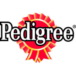Pedigree Pedigree Adult Mini Szárazeledel - Baromfihússal és zöldséggel (400g)