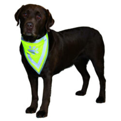 Trixie Trixie Safety Neckerchief - Fényvisszaverős kutyakendő L-XL (43-60cm)
