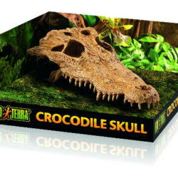 Hagen Hagen Exo Terra Crocodile Skull - krokodilkoponya formájú búvóhely hüllők részére (12x22x8cm)