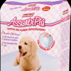 AssorbiPiu Hygiene Pad Nappy - Helyhez szoktató - kutyapelenka 60x60cm (11db)