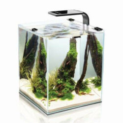 Aqua-el Aquael Shrimp Set Smart II 30 Black - Nano akvárium garnélarákoknak és kisebb halaknak