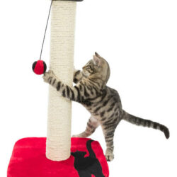 Trixie Trixie Mendi Scratching Post - oszlop kaparófa (piros/fekete) macskák részére (34x34cm)