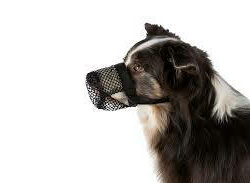 Trixie Trixie Poisoned Bait Protection - evésgátló szájkosár (fekete9 kutyák részére (XS) 18cm