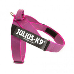 JULIUS-K9 Julius K-9 Color&Gray IDC Hevederhám 2-es méret (pink) 67-97cm