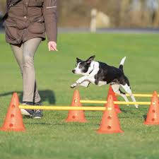 Trixie Trixie Sporting Obstacle Set - agility akadály (ugró akadály) kutyák részére (Ø23cm x 30/78cm)