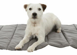 Trixie Trixie Travel Blanket Hooge - fekhely utazáshoz (szürke) kutyák részére (100x65cm)