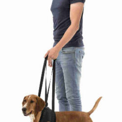 Trixie Trixie Walking Aid - Sétáltatást segítő kutyahám - fekete - (M) 55–65cm/25kg