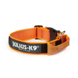 JULIUS-K9 Julius K-9 Color&Gray nyakörv (40mm/38-53cm) narancs-szürke