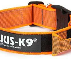 JULIUS-K9 Julius K-9 Color&Gray nyakörv (50mm/49-70cm) szürke-narancs