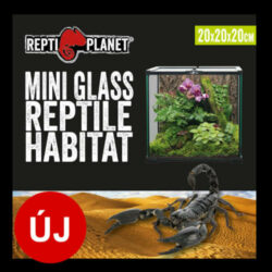 ReptiPlanet Repti Planet mini Glass Reptile Habitat - üveg terrárium  (20x20x20cm)