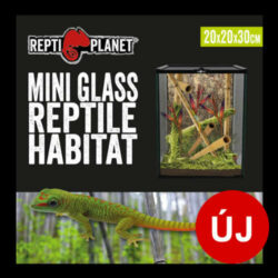 ReptiPlanet Repti Planet mini Glass Reptile Habitat - üveg terrárium  (20x20x30cm)