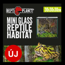 ReptiPlanet Repti Planet mini Glass Reptile Habitat - üveg terrárium  (20x20x30cm)