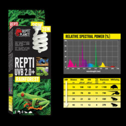ReptiPlanet Repti Planet Rainforest Repti - esőerdei terráriumokhoz izzó (UVB 2.0+/13W)