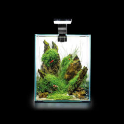 Aqua-el Aquael Shrimp Set Smart Day&Nnight 19 black - Nano akvárium (fekete) garnélarákoknak és kisebb halaknak (25x25x30cm)