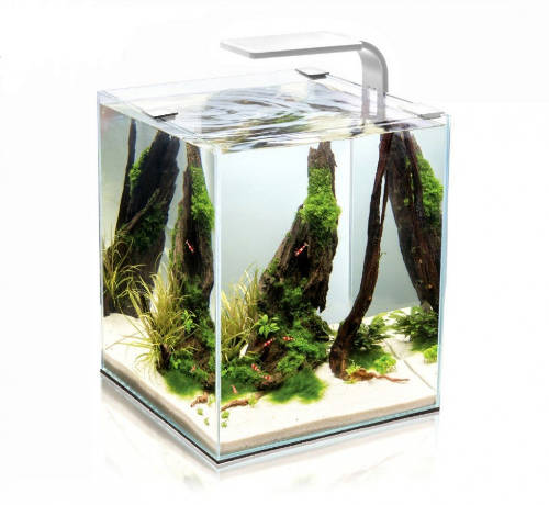 Aqua-el Aquael Shrimp Set Smart Day&Nnight 10 white - Nano akvárium (fehér) garnélarákoknak és kisebb halaknak (20x20x25cm)