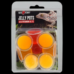 ReptiPlanet Repti Planet Jelly Pots - kiegészítő takarmány (gyümölcs zselé) hüllők és gerinctelenek részére (8db)