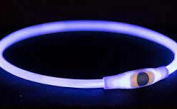 Trixie Trixie USB Flash Light Ring - világító pánt (kék) kutyák részére (S-M) 40cm/8mm