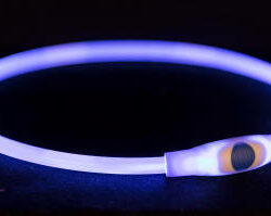 Trixie Trixie USB Flash Light Ring - világító pánt (kék) kutyák részére (L-XL) 65cm/8mm