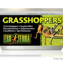 Hagen Exo-Terra Grasshoppers - hüllőeledel (szöcske) 34g