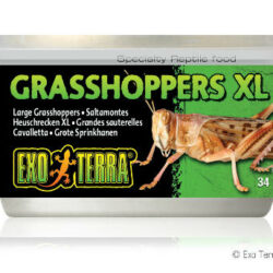 Hagen Exo-Terra Grasshoppers - eledel (szöcske) hüllők részére (34g)