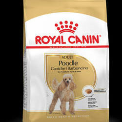 Pedigree Royal Canin Adult (Poodle) - Teljesértékű eledel kutyák részére(1
