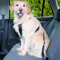 Trixie Trixie Car Harness - biztonsági öv kutyák részére - L - (70-90cm/25mm)