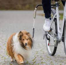 Trixie Trixie Dog Biker Kit - kiegészítő felszerelés (kutyák részére) kerékpárhoz (S-M)