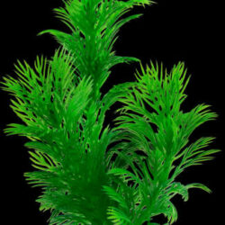 Tetra Tetra Decoart Plantastics Green Cabomba - vízi növény természetes másolata (M)