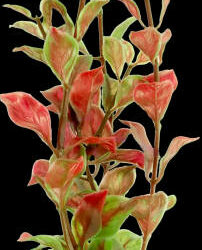 Tetra Tetra Decoor Plant  - műnövény (Red Ludwiga) akváriumokba (M) 23cm