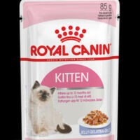 Royal Canin - Royal Canin Feline Kitten (Jelly) - alutasakos eledel macskák részére (85g)