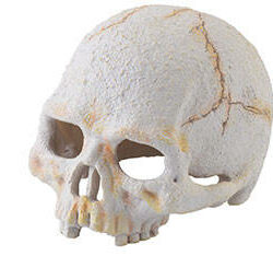 Hagen - Hagen Exo Terra Primate Skull - búvóhely (koponya formájú) terráriumokba