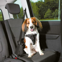 Trixie - Trixie Car Harness Comfort - biztonsági hám autóba -fekete - (M) kutyák részére (50-65cm/20mm)