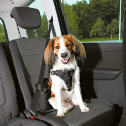 Trixie - Trixie Car Harness Comfort - biztonsági hám autóba -fekete - (L) kutyák részére (65-88cm/23mm)