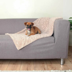 Trixie - Trixie Cosy Blanket - mintás takaró (bézs) kutyák részére (70x50cm)