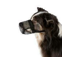Trixie - Trixie Poisoned Bait Protection - evésgátló szájkosár (fekete9 kutyák részére (XS) 18cm