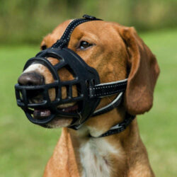Trixie - Trixie Muzzle Flex - szilikon szájkosár - fekete (M-L) 22cm