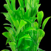 Tetra - Tetra Decoart Plant - műnövény (Hygroplila) 30cm