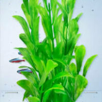 Tetra - Tetra Decoart Plant - műnövény (Hygrophila) akváriumi dísznövény (M)