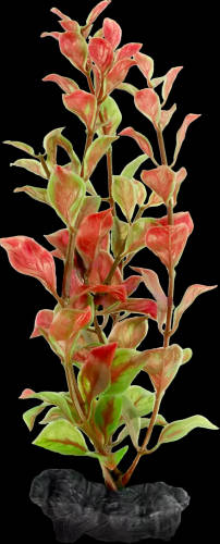 Tetra - Tetra Decoor Plant  - műnövény (Red Ludwiga) akváriumokba (M) 23cm