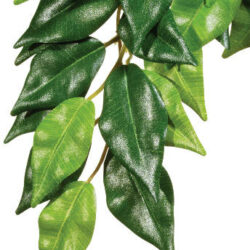 Hagen - Exo-Terra Silk Plant Ficus Small - Terráriumi selyem műnövény dekoráció (Ficus) cca.32cm