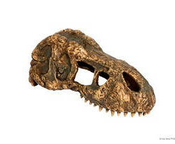Hagen - Exo-Terra T-Rex Skull Small - T-Rex koponya formájú búvóhely hüllők részére (7x15x6cm)