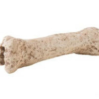 Hagen - Exo-Terra Dinosaur Bone - Dinoszaurusz csont - bújó hüllők részére (19cm)
