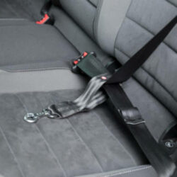 Trixie - Trixie Seatbelt loop