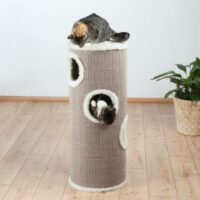 Trixie - Trixie Edoardo Cat Tower - torony kaparófa (tópszín/krém) macskák részére (100cm)
